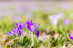 Aktualizacja iso 14001